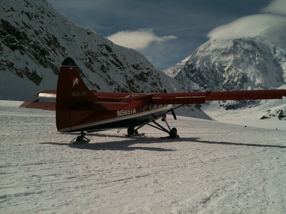 Alaska Salmon Berry Tours Small Group Sightseeing Tours